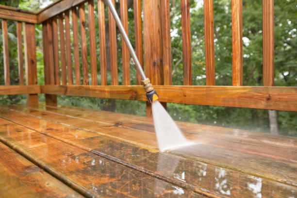 Best Animal Enclosure Cleaning  in Rock Rapids, IA